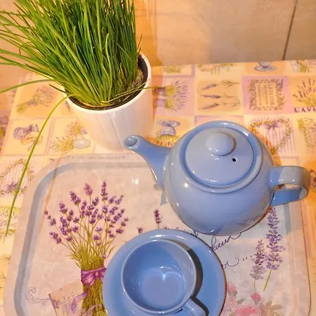 Lejlighed Terrace *