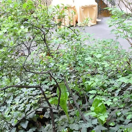Apartment Terrace *