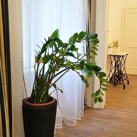 Apartment Terrace